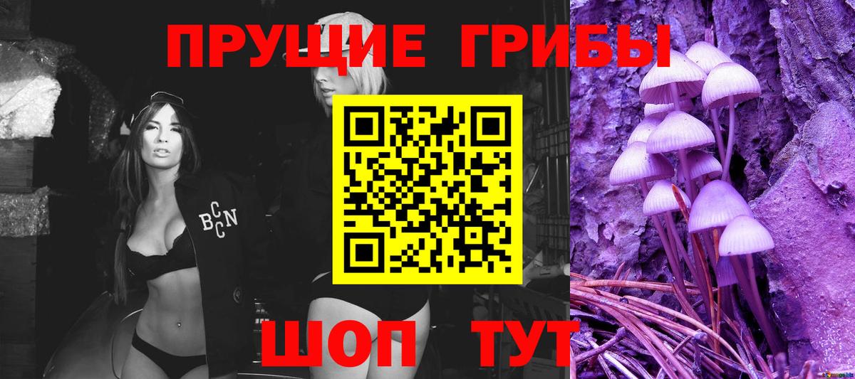 Галлюциногенные грибы Psilocybe  Вход с VPN  Уссурийск 